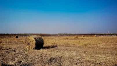 Casholot Casino Application mobile